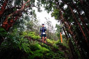 BIB: 
                            <button type="button" onclick="openModal(26201988)" class="btn btn-primary btn-sm float-right btn-popup" data-toggle="modal" data-target=".modal-high-quality">
                        <i class="fas fa-shopping-cart"></i> Add to Cart
                    </button>
                                            <button type="button" onclick="isThisMe(26201988, true)" class="btn btn-success btn-sm float-right btn-popup btn-isme hidden" data-toggle="tooltip" data-placement="bottom" title="นี่คือรูปของคุณใช่ไหม คลิกที่นี่เพื่อเอาเข้าอัลบั้ม">
                        <i class="fas fa-plus"></i> Add to album
                    </button>
                    <button type="button" onclick="isThisMe(26201988, false)" class="btn btn-warning btn-sm float-right btn-popup btn-isnotme hidden">
                        <i class="fas fa-ban"></i> Remove from album
                    </button>